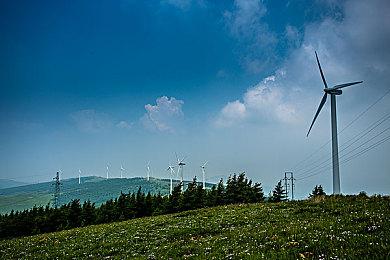 磨人的小妖怪《对马岛之鬼》导剪版添加狐狸求摸动作 